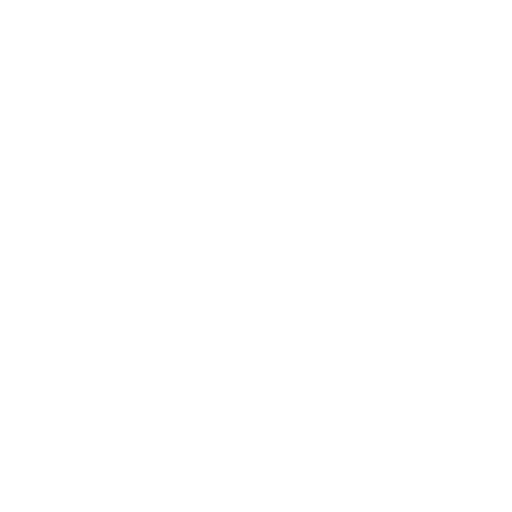 Bidot